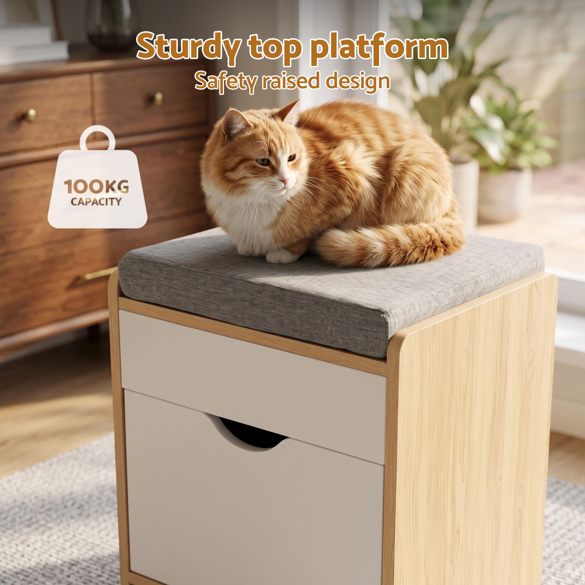Storage Ottoman with Drawer 100kg Capacity Footrest Cushion - Pine