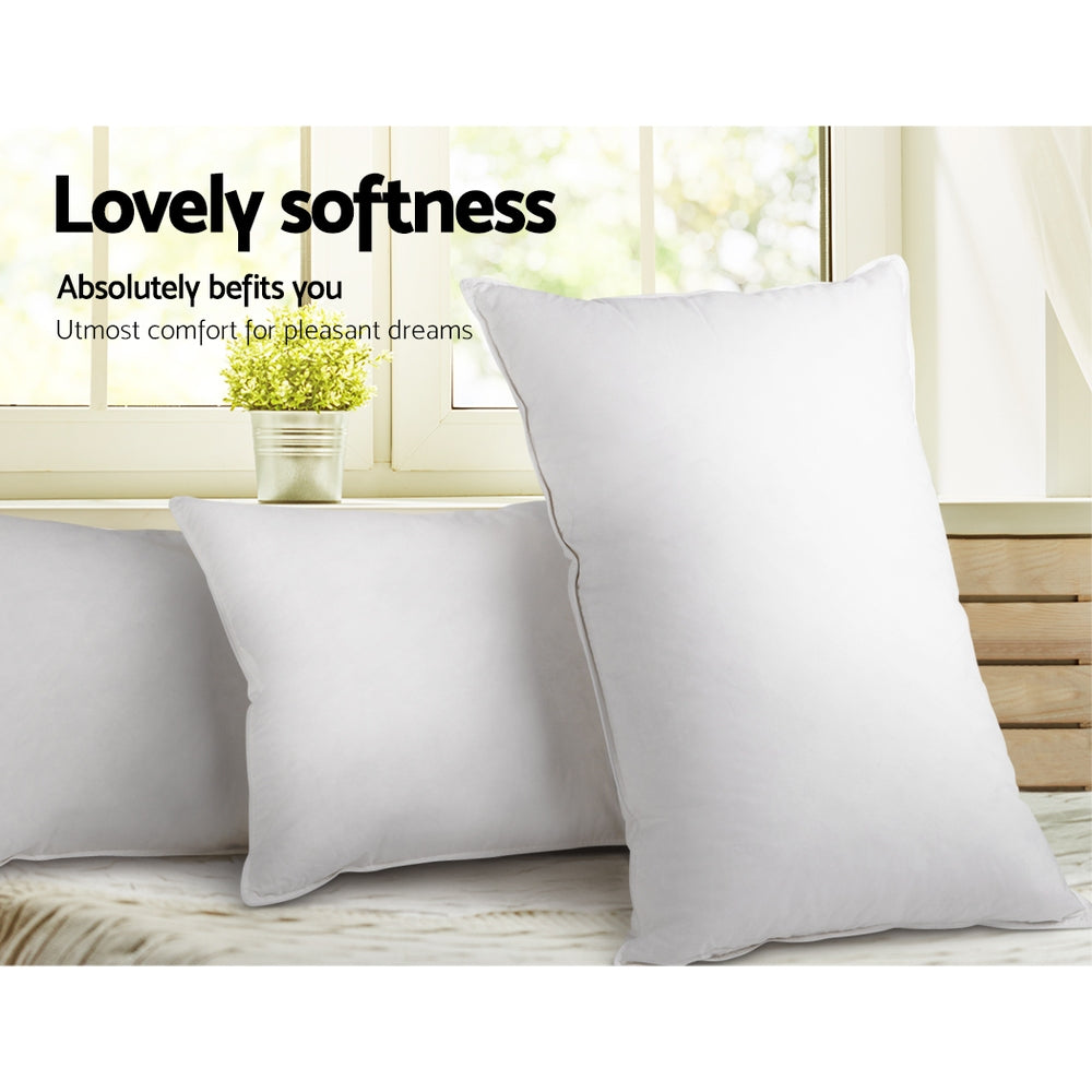 Set of 2 Duck Down Pillows - White displayed on bed with natural light and small plant against window background