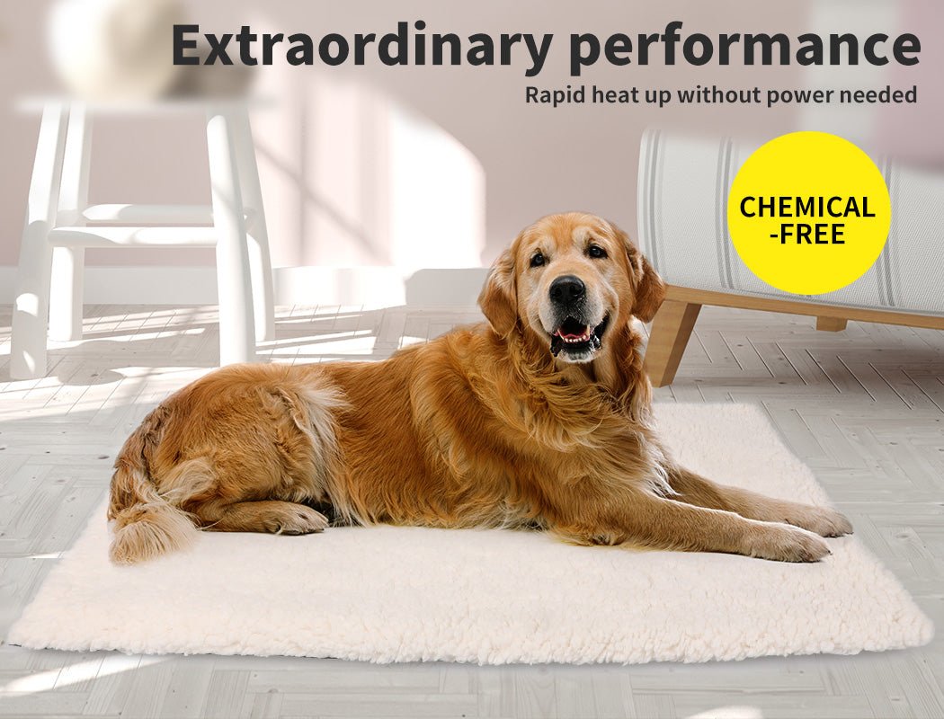 Pet Bed Dog Beds Bedding Heated Pet Bed Soft Mattress Cushion Pillow Mat L - Bedzy Australia