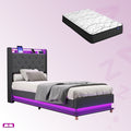 Single Package | Mitchell LED Gas Lift Storage Bed Grey & Glay Bonnell Spring Mattress (Medium Firm)