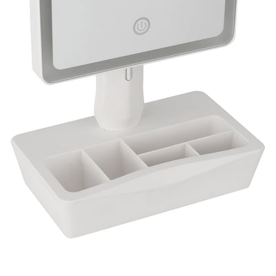 Makeup Mirror 10X Magnifying with LED light Storage Cosmetic Mirror