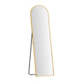 Full Length Mirror Floor Dressing Mirror 160cm