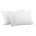 Set of 2 Duck Down Pillows - White