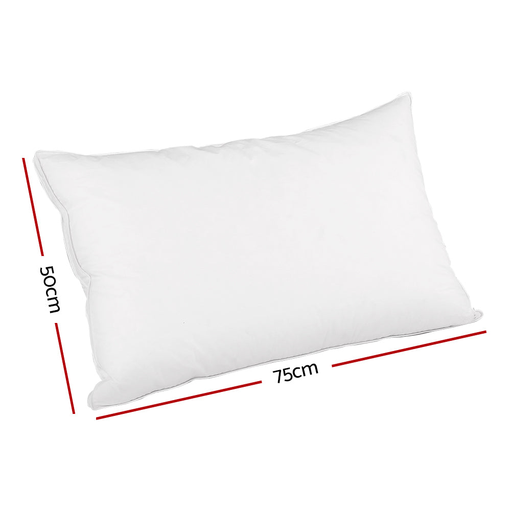 Feather Down Twin Pack Pillow-2