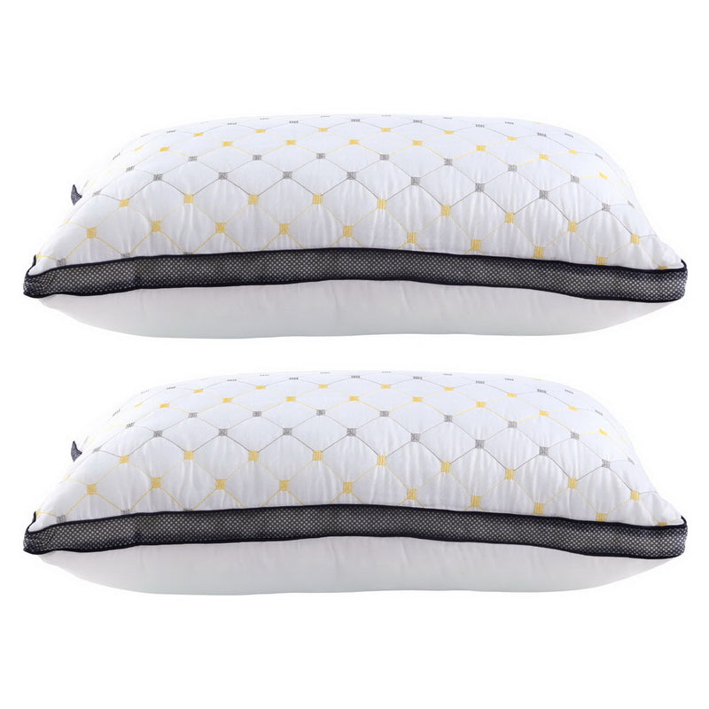 2pcs Pillows Microfibre-3