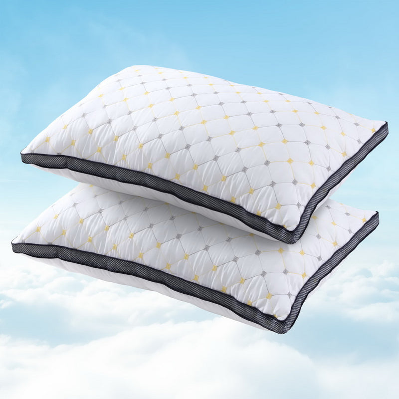 2pcs Pillows Microfibre-1