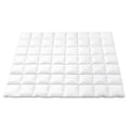 700GSM Duck Down Feather Quilt Duvet Doona Winter Blanket Double