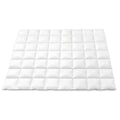 800GSM Goose Down Feather Quilt Winter Blanket Duvet Comforter Double