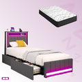 Single Package | Harrison LED Smart Storage Bed Grey & Glay Bonnell Spring Mattress (Medium Firm)