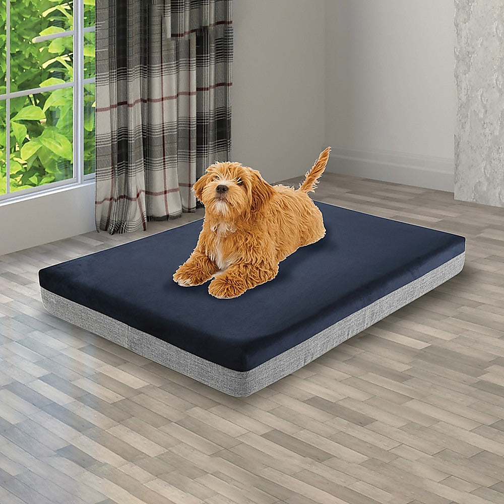 Memory Foam Dog Bed 12CM Thick Large Orthopedic Dog Pet Beds Waterproof Big in navy and gray with small dog indoors