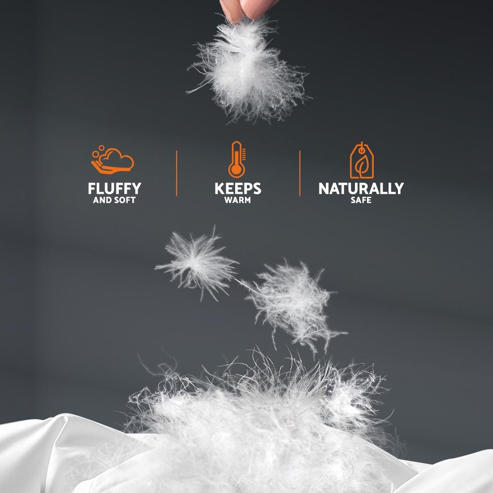 800GSM Goose Down Feather Quilt Cover Duvet Winter Doona White Super King - Bedzy Australia
