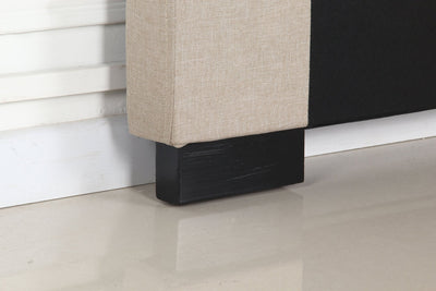 Double Size | Cilantro Headboard (Beige) - Bedzy Australia