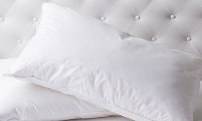 Duck Feather & Down Quilt 500GSM + Duck Feather and Down Pillows 2 Pack Combo Single White - Bedzy Australia