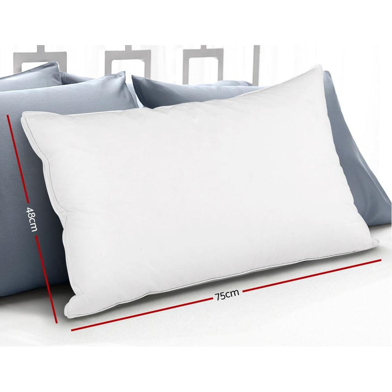 Feather Down Twin Pack Pillow - Bedzy Australia