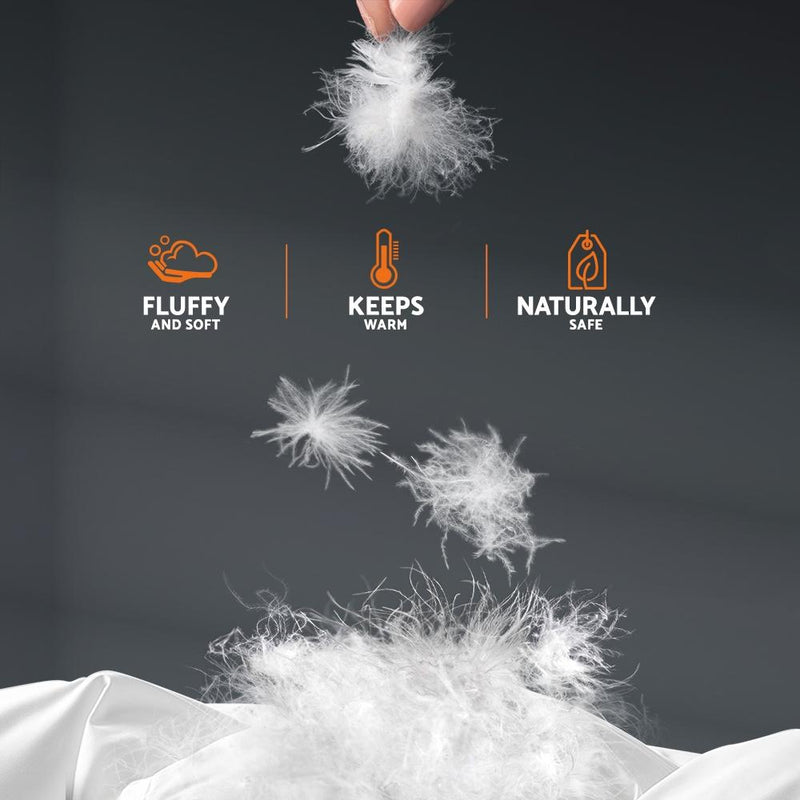 Giselle Bedding Goose Down Feather Quilt Cover Duvet 800GSM Winter Doona White King - Bedzy Australia - Home & Garden > Bedding