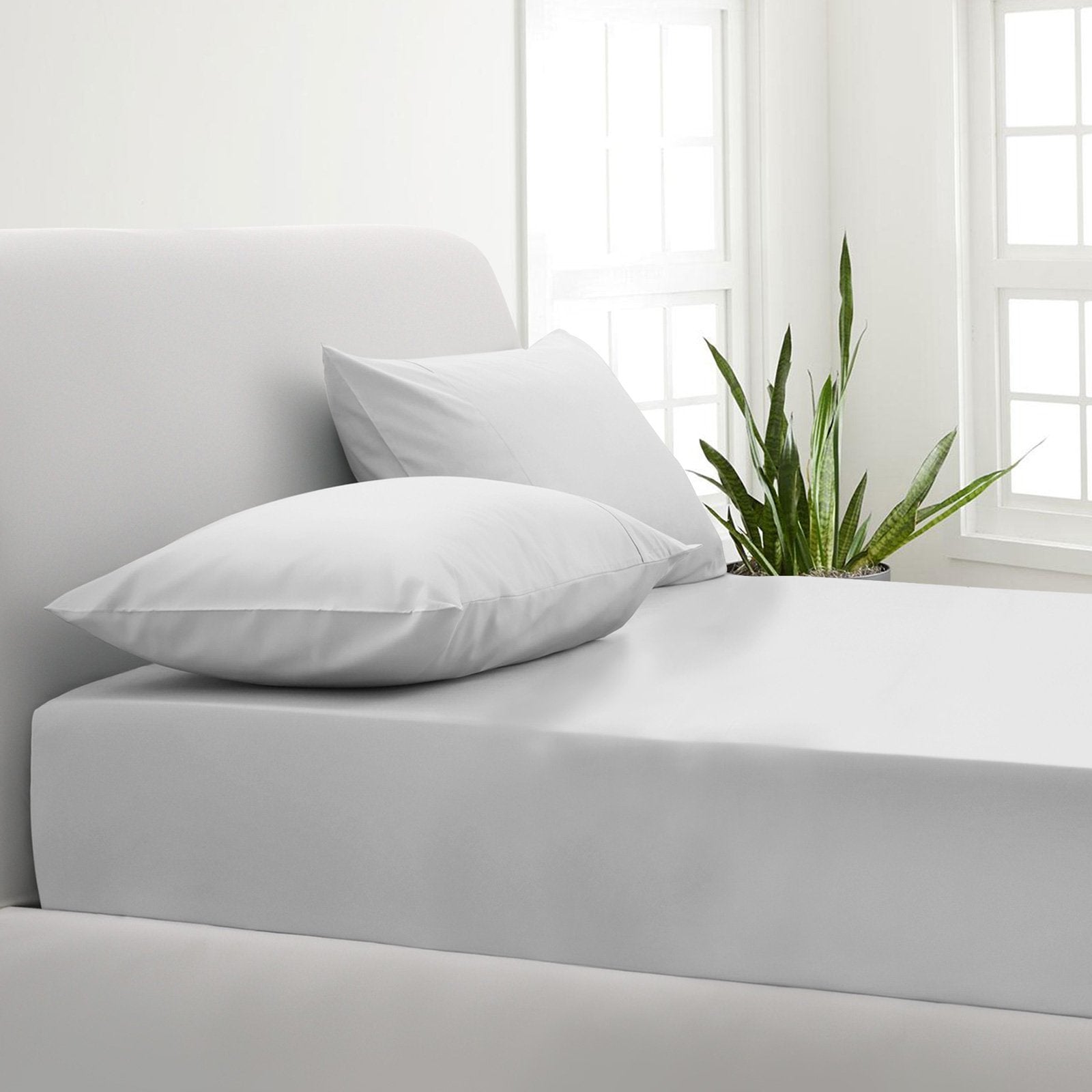 Park Avenue 1000TC Cotton Blend Sheet & Pillowcases Set Hotel Quality Bedding Double White - Bedzy Australia
