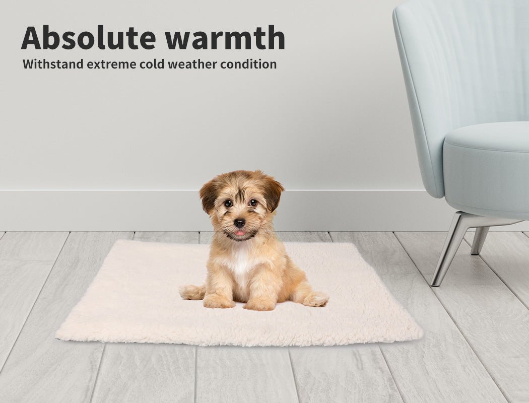 Heated Pet Bed Heating Pad Dog Beds Bedding Soft Mattress Cushion Pillow M - Bedzy Australia