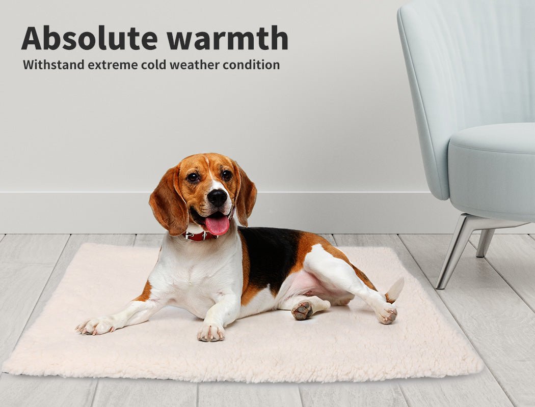 Pet Bed Dog Beds Bedding Heated Pet Bed Soft Mattress Cushion Pillow Mat L - Bedzy Australia
