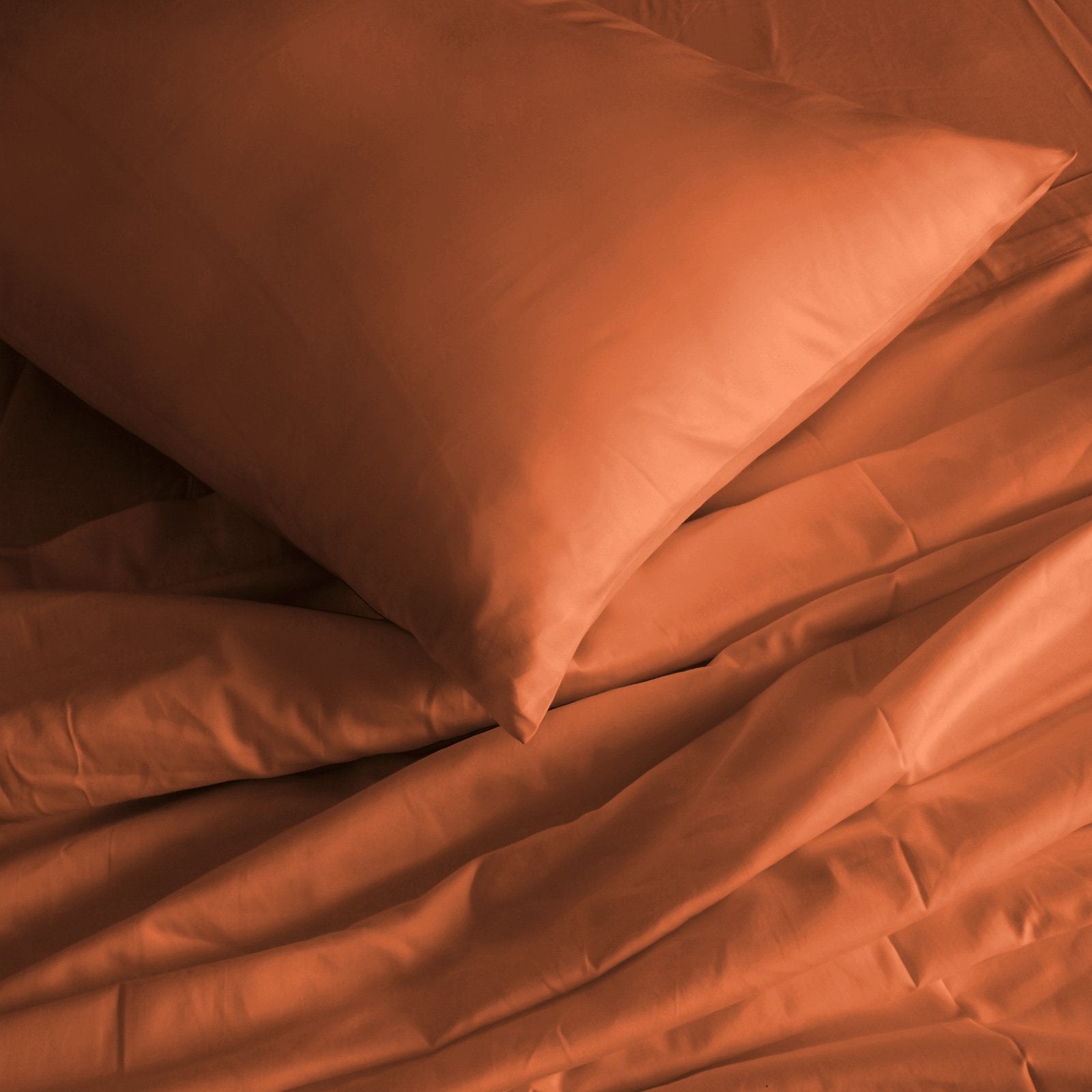 Royal Comfort 1000 Thread Count Bamboo Cotton Sheet and Quilt Cover Complete Set King Cinnamon - Bedzy Australia