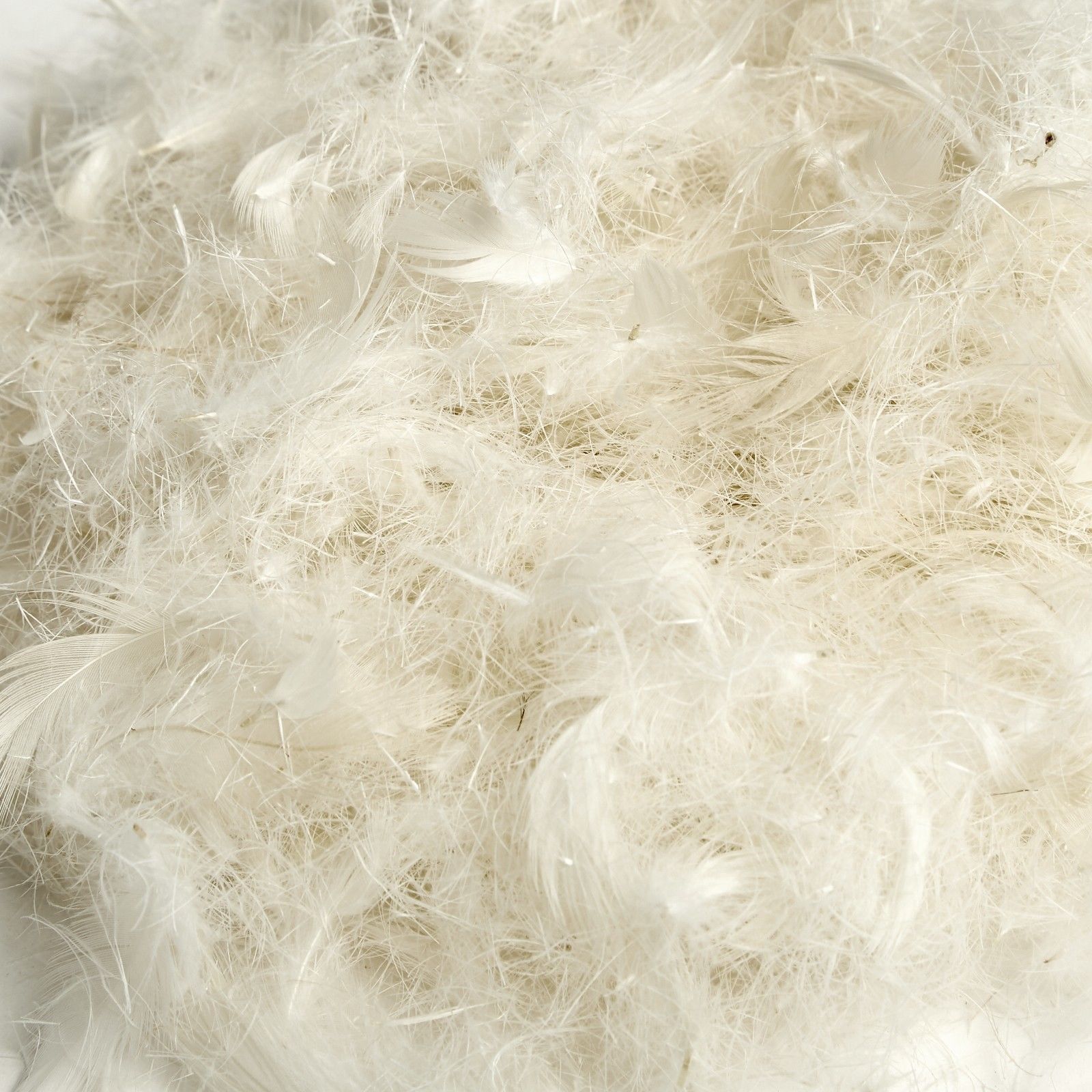 Royal Comfort Goose Down Feather Pillows 1000GSM 100% Cotton Cover - Twin Pack 50 x 75 cm White - Bedzy Australia