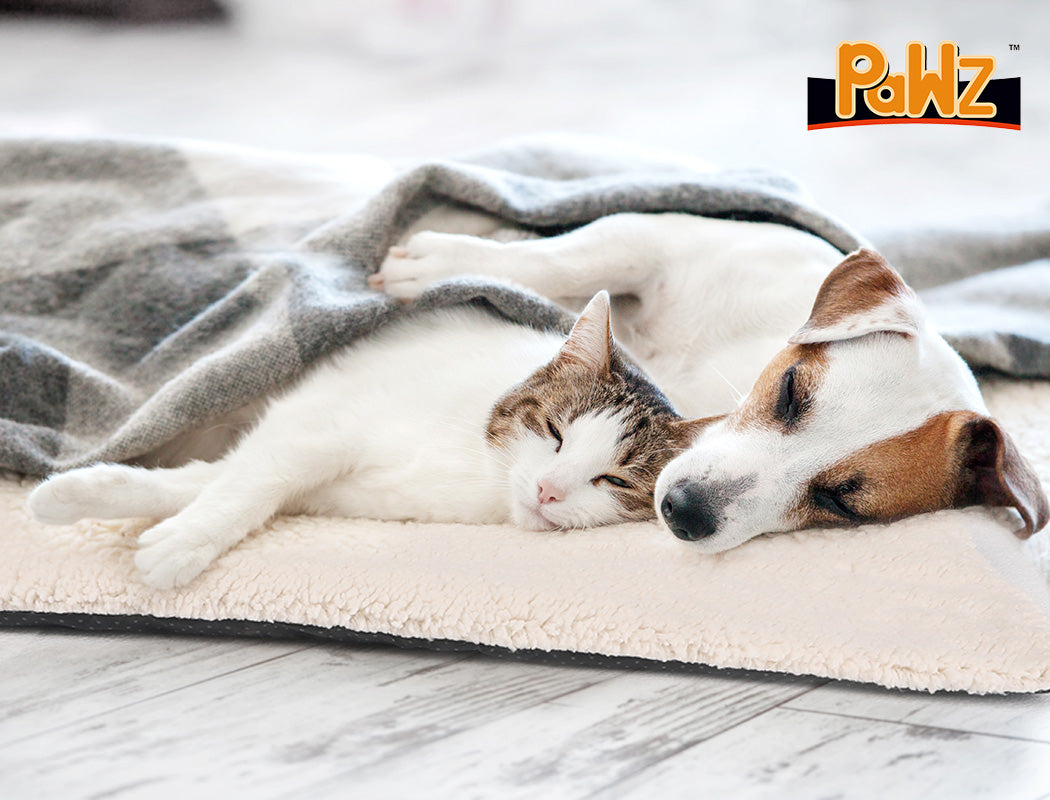 Heated Pet Bed Heating Pad Dog Beds Bedding Soft Mattress Cushion Pillow M - Bedzy Australia