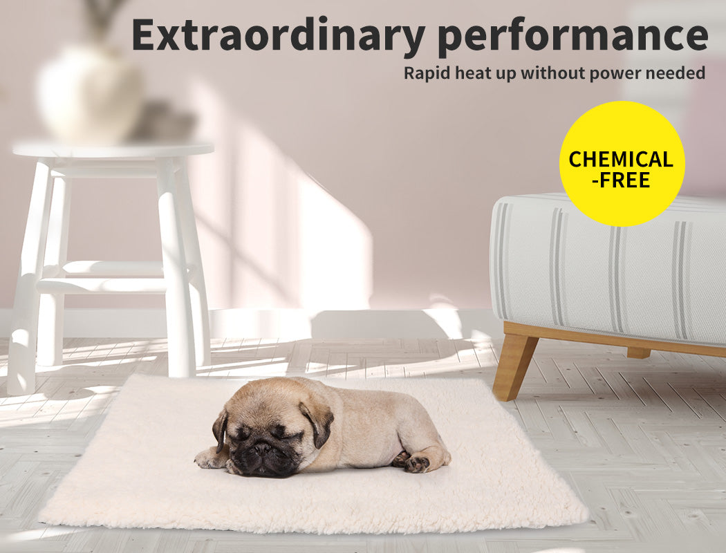 Heated Pet Bed Heating Pad Dog Beds Bedding Soft Mattress Cushion Pillow M - Bedzy Australia